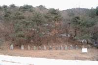  ū��������! 