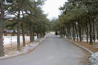  ū��������! 