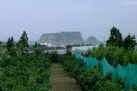  ū��������! 