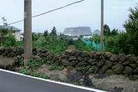  ū��������! 