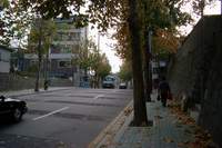  900X600������ ��������! 