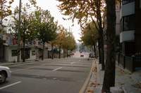  2000�� ���4�� ���� 