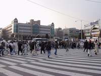  900X675������ ��������! 